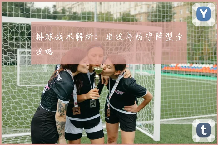 排球战术解析:进攻与防守阵型全攻略