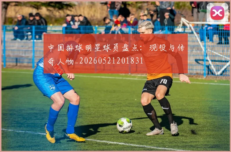 中国排球明星球员盘点:现役与传奇人物_20260521201831